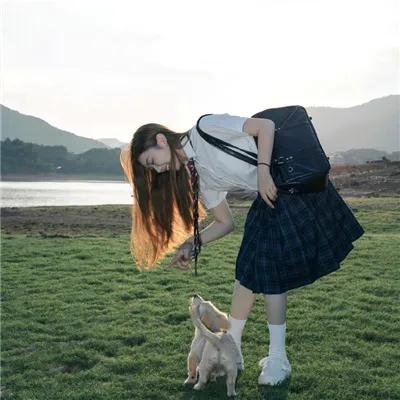 雁南飞